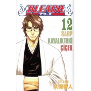 bleach #12